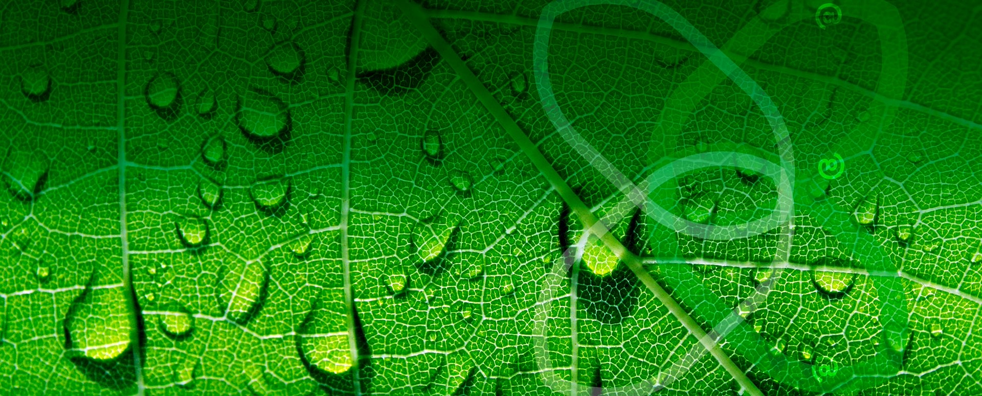 Per il nostro futuro scegli Bolletta Web