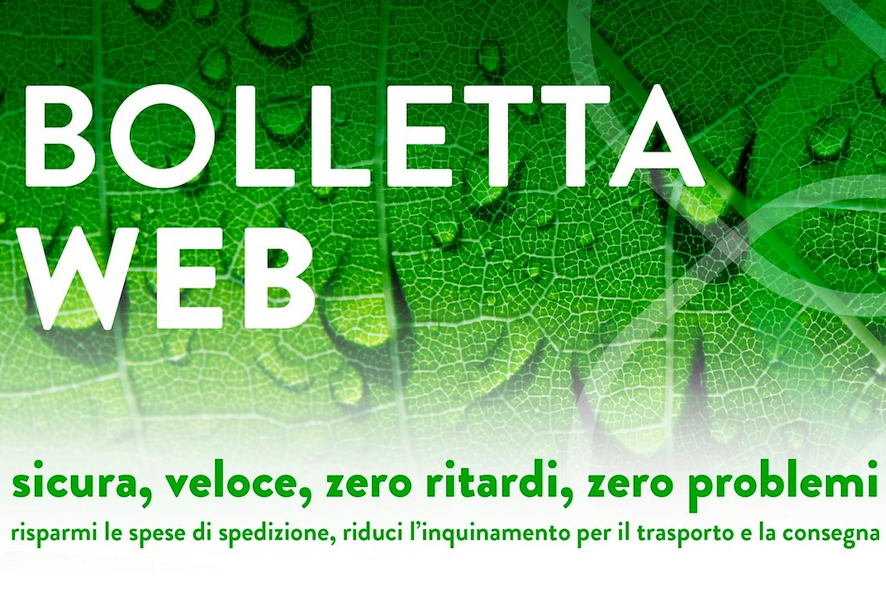 Attivazione bolletta web SII
